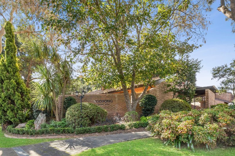 Photo - 17/2 Stanley Street, St Ives NSW 2075 - Image 5