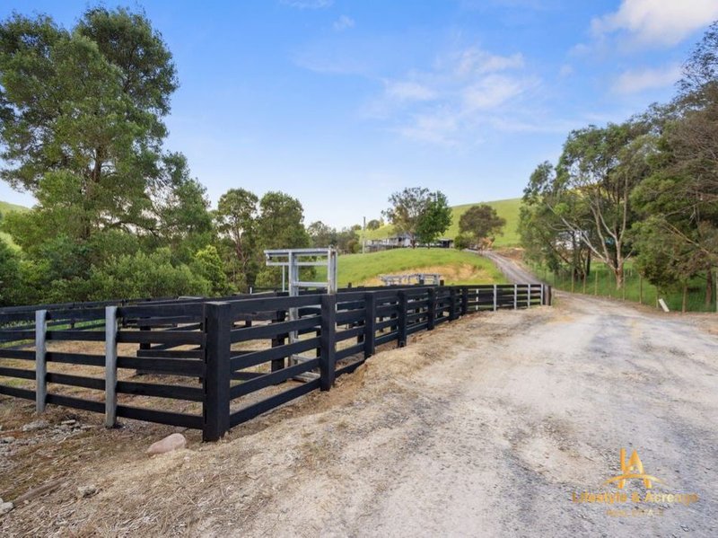 Photo - 1720 Wild Dog Valley Road, Strzelecki VIC 3950 - Image 2