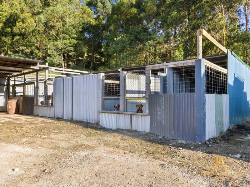 Photo - 1720 Wild Dog Valley Road, Strzelecki VIC 3950 - Image 20