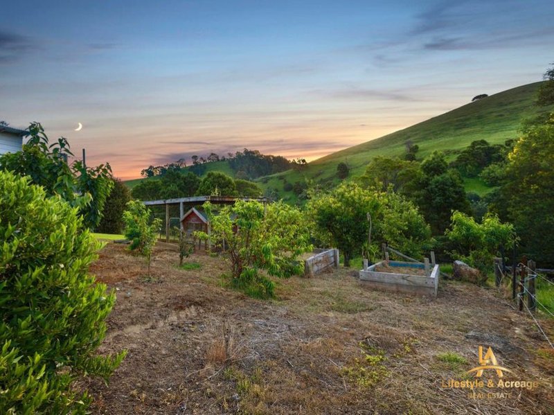 Photo - 1720 Wild Dog Valley Road, Strzelecki VIC 3950 - Image 21