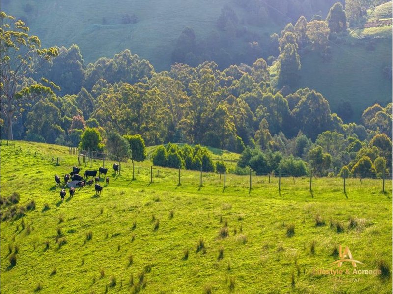 Photo - 1720 Wild Dog Valley Road, Strzelecki VIC 3950 - Image 22