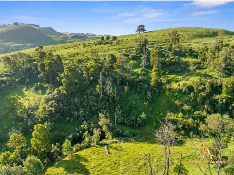 Photo - 1720 Wild Dog Valley Road, Strzelecki VIC 3950 - Image 23