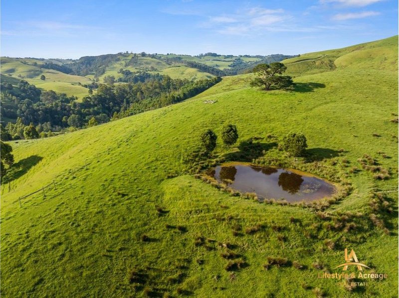 Photo - 1720 Wild Dog Valley Road, Strzelecki VIC 3950 - Image 25
