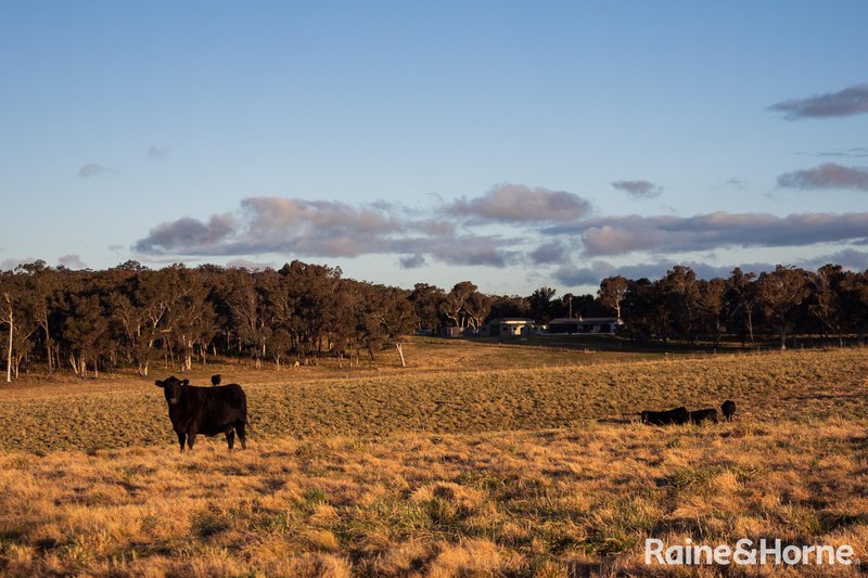 Photo - 1721 Canyonleigh Road, Canyonleigh NSW 2577 - Image 34