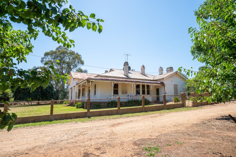 Photo - 1726 Howlong Burrumbuttock Road, Burrumbuttock NSW 2642 - Image 5