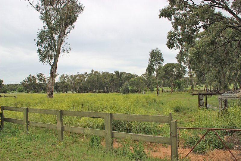 Photo - 173 River Road, Coonabarabran NSW 2357 - Image 2