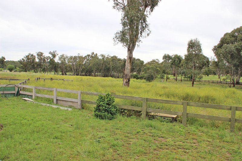 Photo - 173 River Road, Coonabarabran NSW 2357 - Image 14