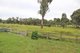 Photo - 173 River Road, Coonabarabran NSW 2357 - Image 14