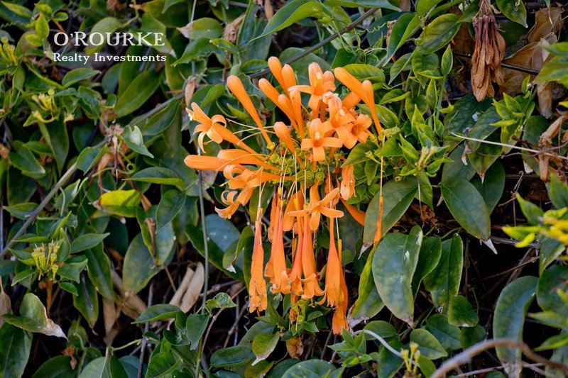 Photo - 1/73 Weaponess Road, Scarborough WA 6019 - Image 26