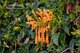 Photo - 1/73 Weaponess Road, Scarborough WA 6019 - Image 26