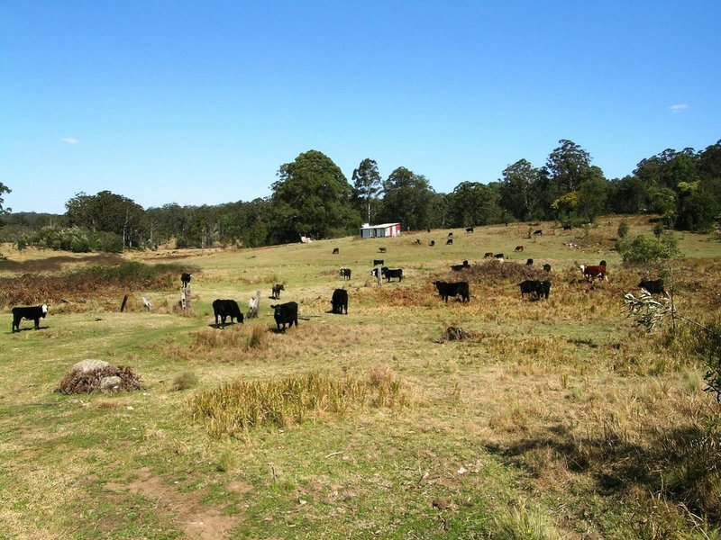 1732-1792 Cochrane Firetrail, Carrai NSW 2440