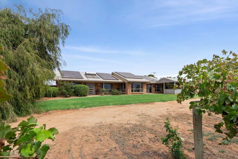 17324 Sturt Highway, Barmera SA 5345