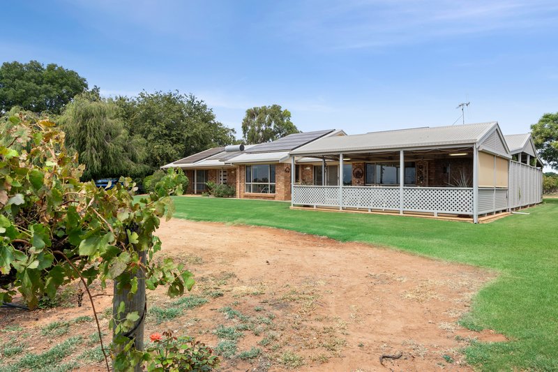 Photo - 17324 Sturt Highway, Barmera SA 5345 - Image 8