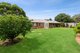 Photo - 17324 Sturt Highway, Barmera SA 5345 - Image 10