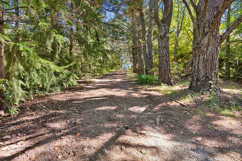 Photo - 174 Mountain Lagoon Road, Bilpin NSW 2758 - Image 4