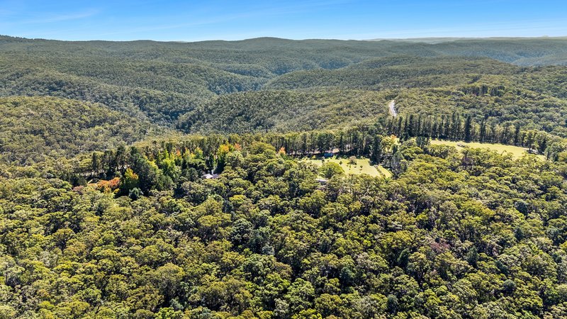 Photo - 174 Mountain Lagoon Road, Bilpin NSW 2758 - Image 20