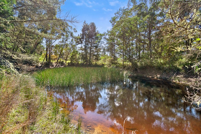 Photo - 174 Mountain Lagoon Road, Bilpin NSW 2758 - Image 24