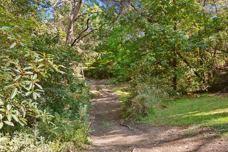 Photo - 174 Mountain Lagoon Road, Bilpin NSW 2758 - Image 25