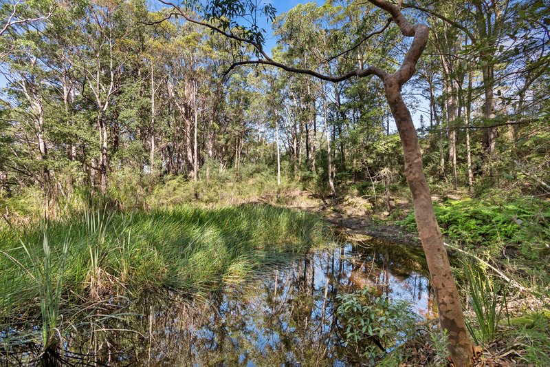 Photo - 174 Mountain Lagoon Road, Bilpin NSW 2758 - Image 26