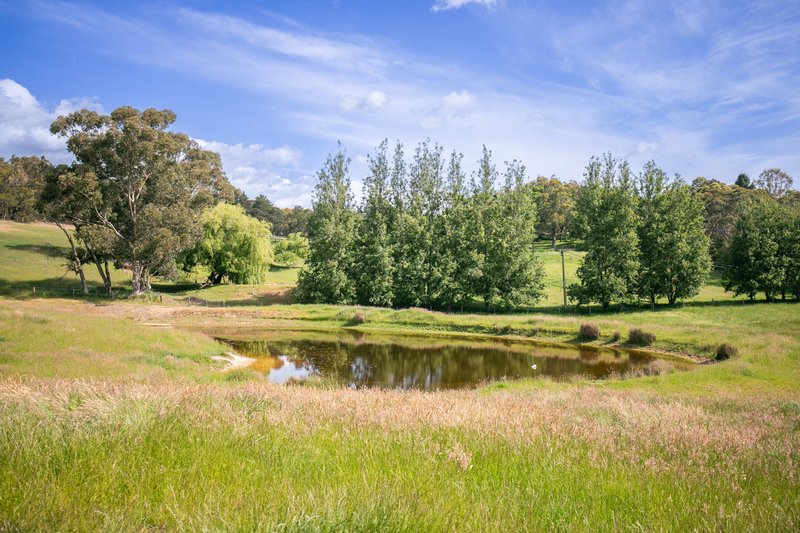 Photo - 174 Sheoak Road, Hahndorf SA 5245 - Image 28