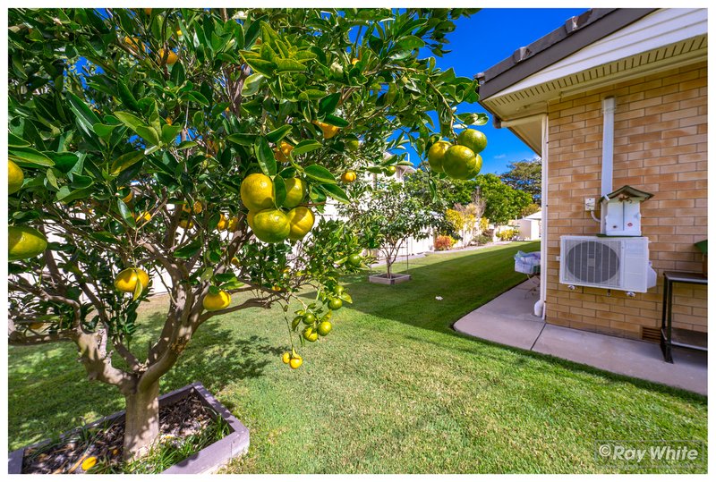 Photo - 174 Wooster Street, Berserker QLD 4701 - Image 27