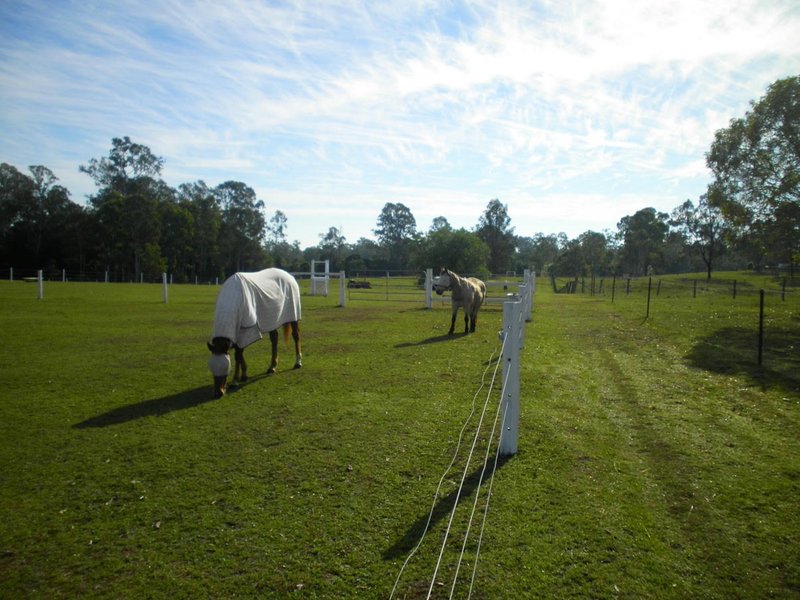 Photo - 175-191 Leopardwood Road, Cedar Grove QLD 4285 - Image 1