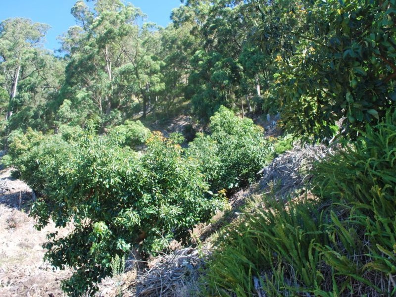 175 Bruxner Park Road, Korora NSW 2450 Real Estate Industry Partners