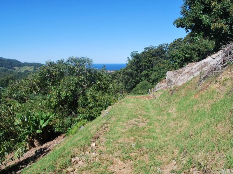 175 Bruxner Park Road, Korora NSW 2450 Real Estate Industry Partners