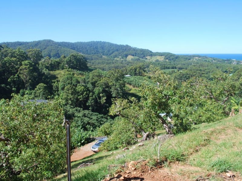 175 Bruxner Park Road, Korora NSW 2450 Real Estate Industry Partners