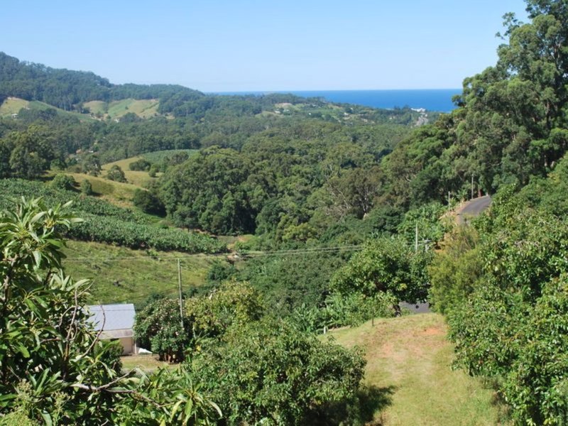 175 Bruxner Park Road, Korora NSW 2450 Real Estate Industry Partners