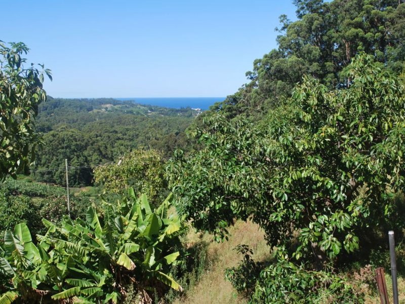 175 Bruxner Park Road, Korora NSW 2450 Real Estate Industry Partners