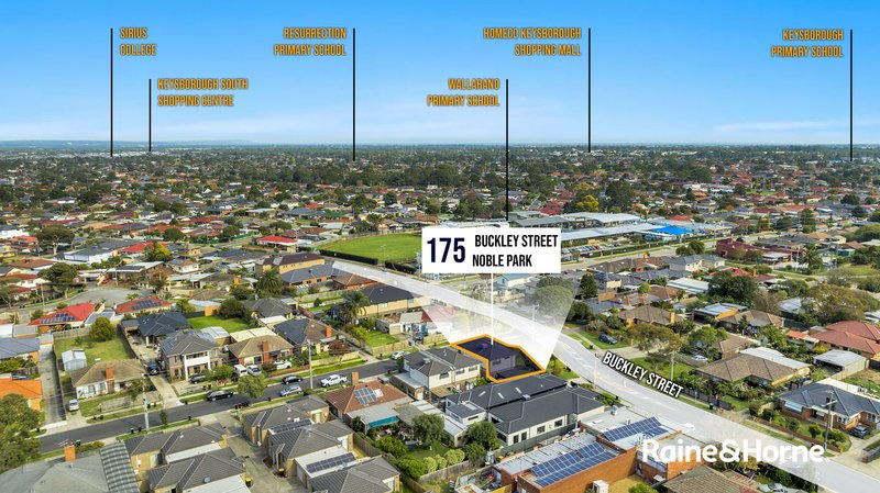 Photo - 175 Buckley Street, Noble Park VIC 3174 - Image 15