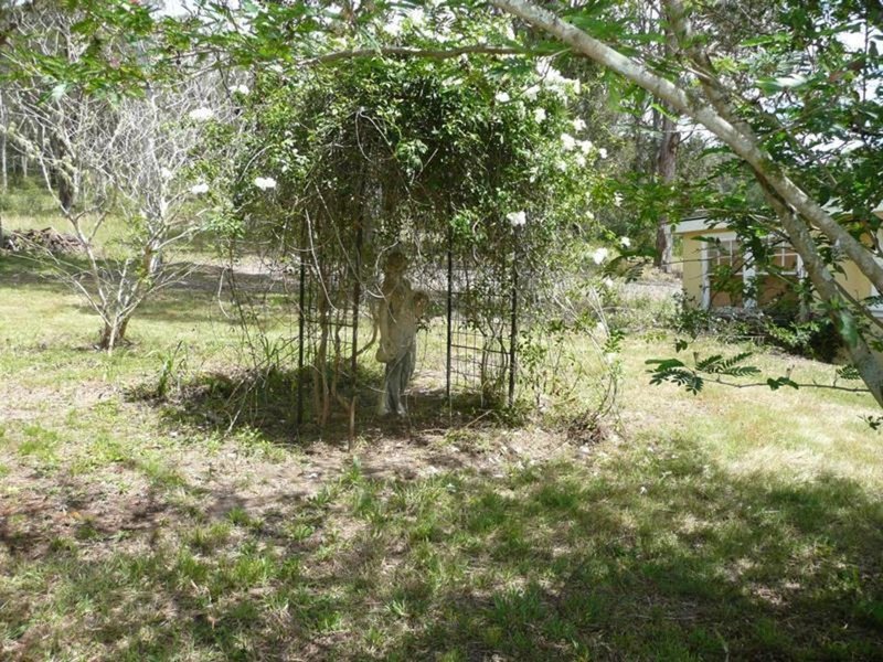 Photo - 175 Cedar Party Road, Taree NSW 2430 - Image 26