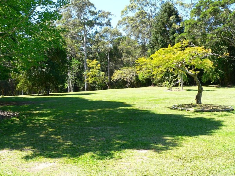 Photo - 175 Coveys Road, Tinbeerwah QLD 4563 - Image 10