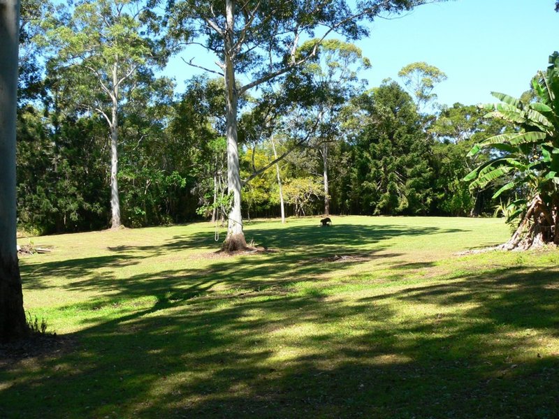 Photo - 175 Coveys Road, Tinbeerwah QLD 4563 - Image 13