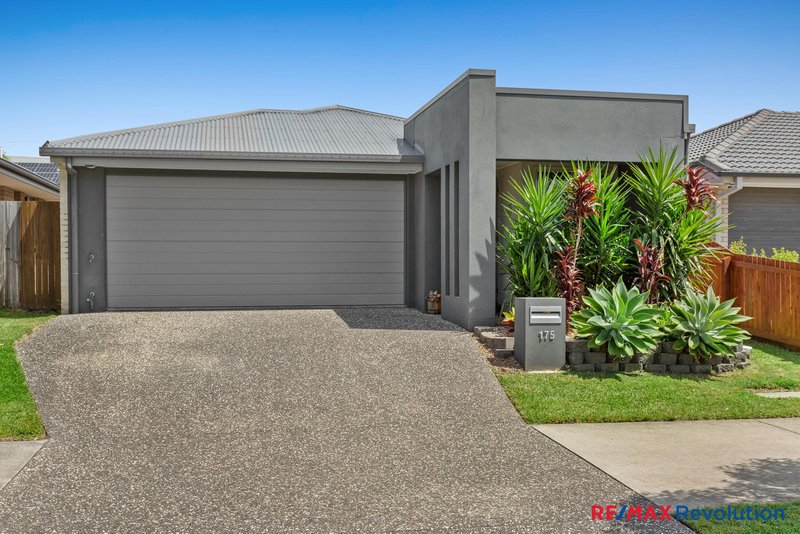 Photo - 175 Darlington Drive, Yarrabilba QLD 4207 - Image 1