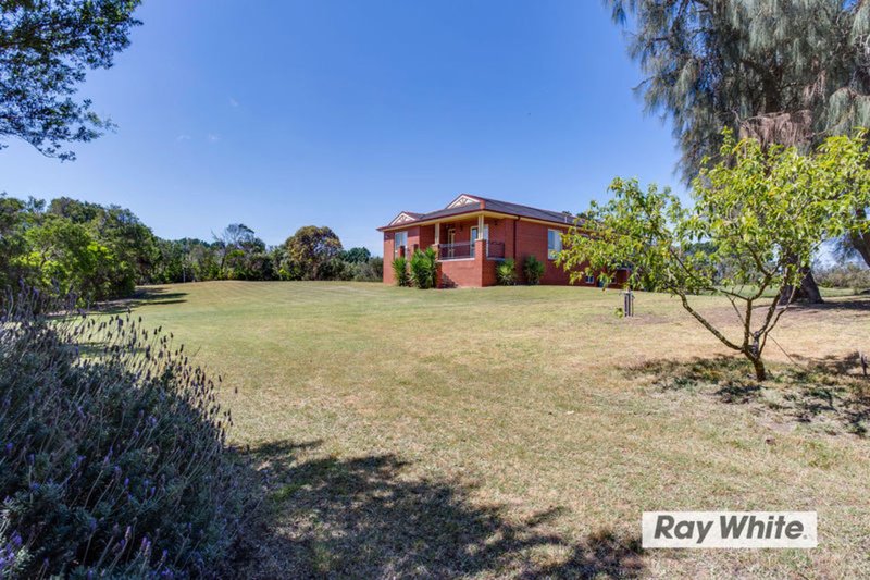 Photo - 175 Maxwell Road, Fingal VIC 3939 - Image 3