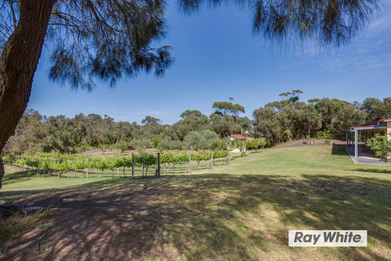 Photo - 175 Maxwell Road, Fingal VIC 3939 - Image 6