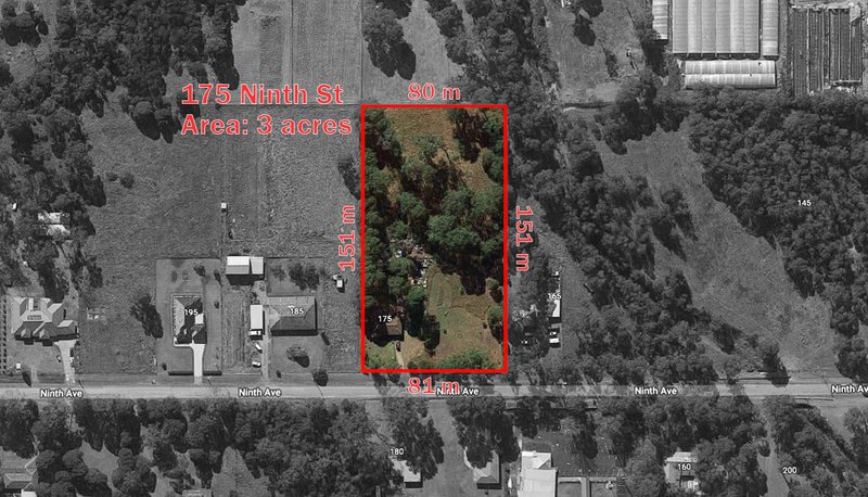 Photo - 175 Ninth Avenue, Austral NSW 2179 - Image 2