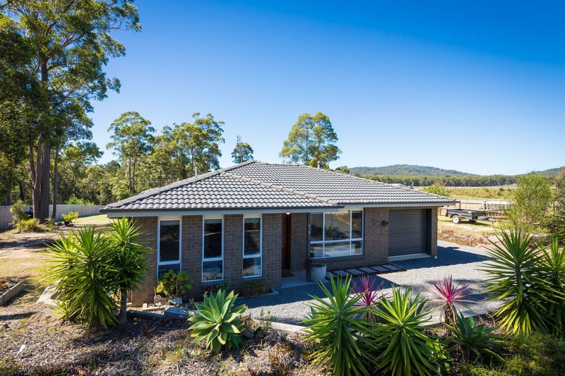 Photo - 175 Shady Lane, Kalaru NSW 2550 - Image 3