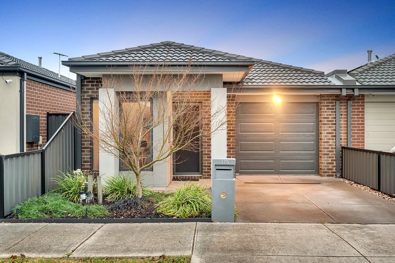 175 Wattletree Street, Craigieburn VIC 3064