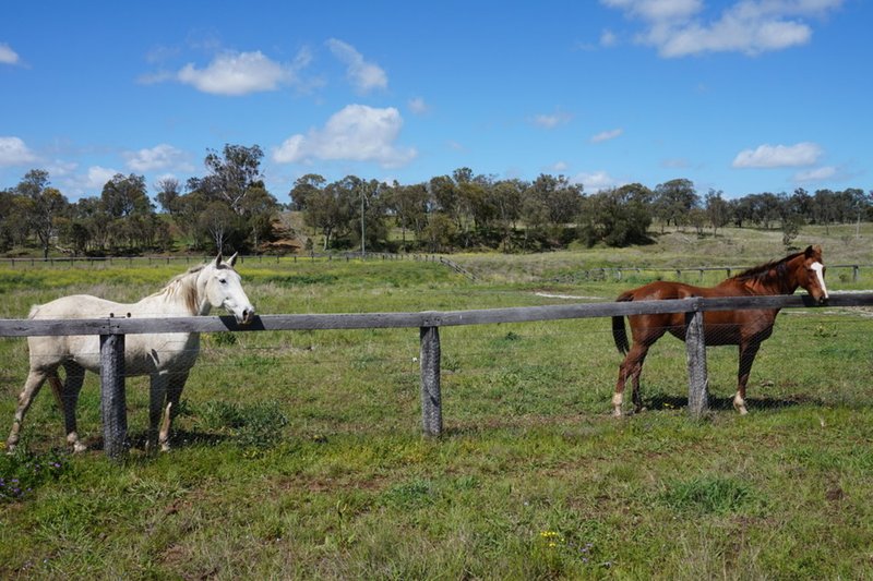 Photo - 175 Whittakers Road, Umbiram QLD 4352 - Image 9