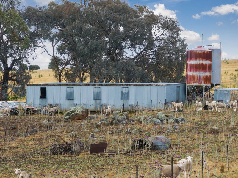 Photo - 176-196 Long Street, Boorowa NSW 2586 - Image 3