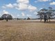 Photo - 176-196 Long Street, Boorowa NSW 2586 - Image 6