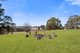 Photo - 176 Cullen Bullen Road, Portland NSW 2847 - Image 21