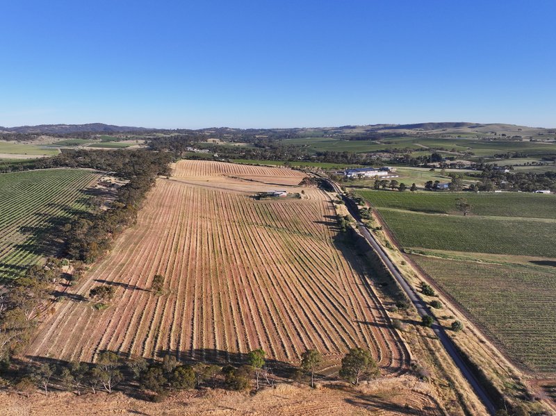 Photo - 176 Grace Road, Leasingham SA 5452 - Image 30
