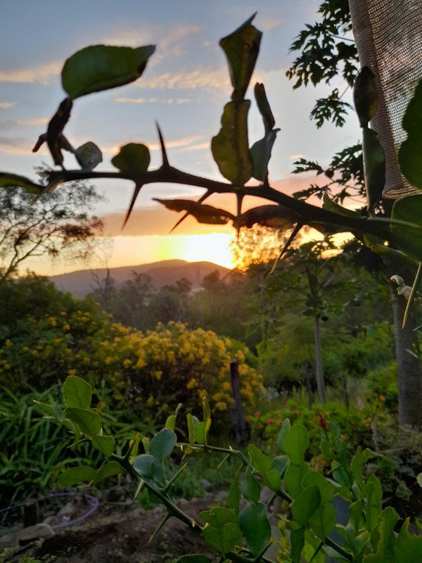 Photo - 176 Highland Street, Esk QLD 4312 - Image 5