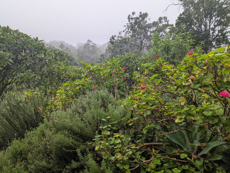 Photo - 176 Highland Street, Esk QLD 4312 - Image 29