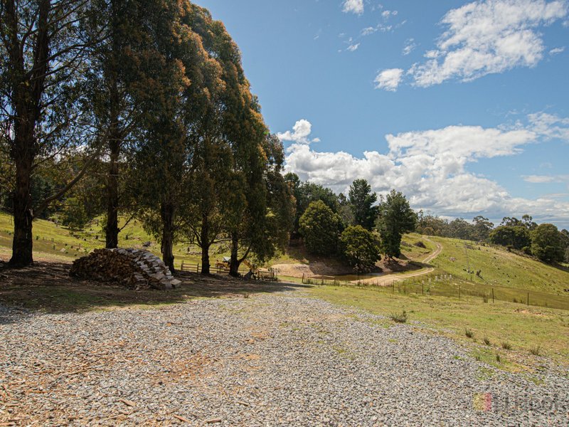 Photo - 176 Kerrisons Road, Holwell TAS 7275 - Image 23