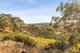 Photo - 176 North Redesdale Road, Redesdale VIC 3444 - Image 8